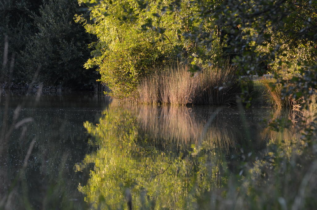 Chalet De La Heronniere Chef-Boutonne Bagian luar foto