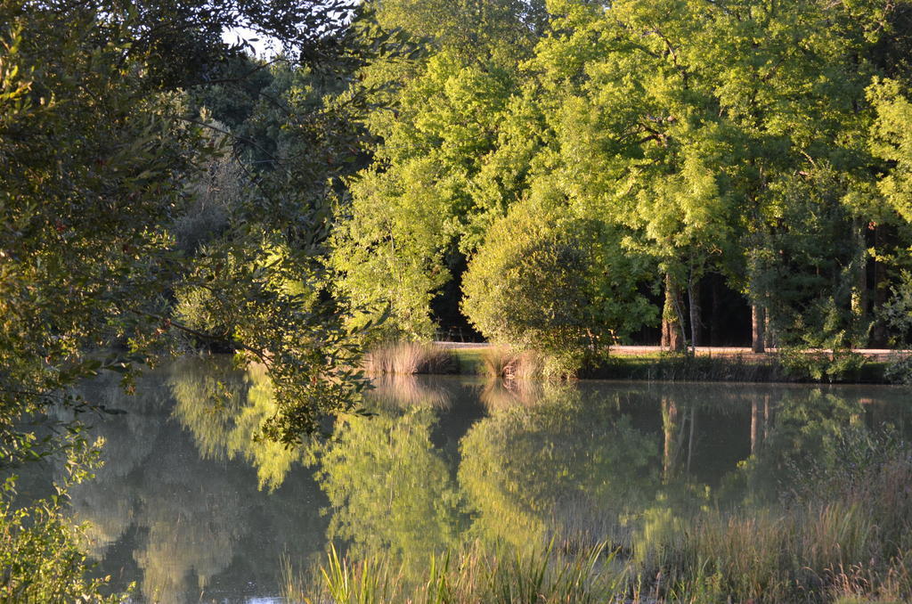 Chalet De La Heronniere Chef-Boutonne Bagian luar foto